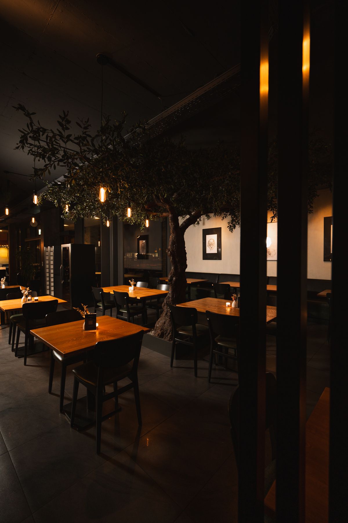 Restaurant-Shooting mit Olivenbaum